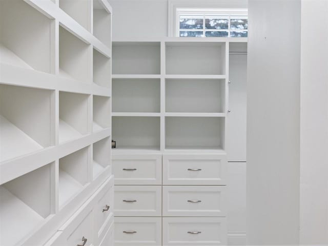 view of walk in closet