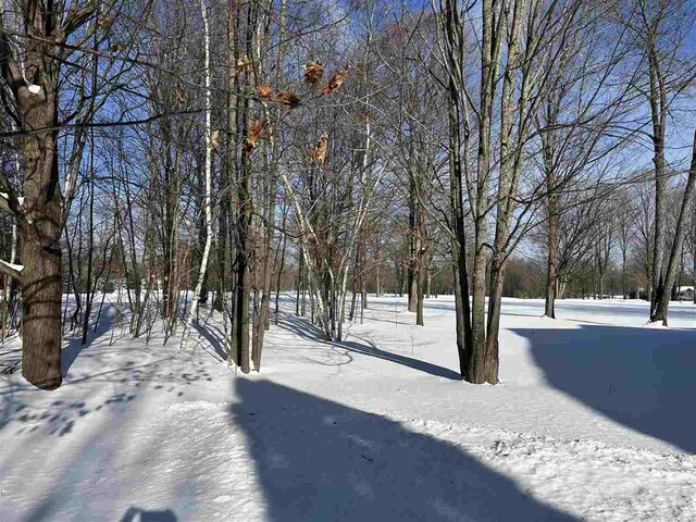 view of yard layered in snow