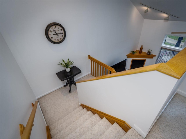 stairs with track lighting and carpet floors