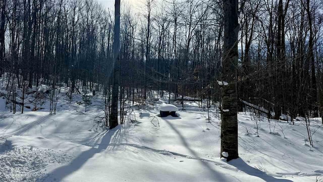 view of snowy yard