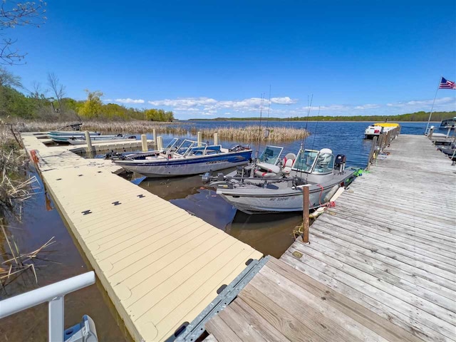 dock area featuring a water view