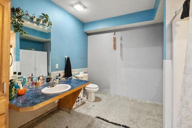 bathroom with toilet and sink