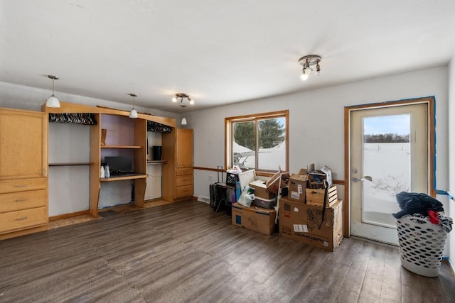 interior space featuring dark wood-type flooring and a healthy amount of sunlight