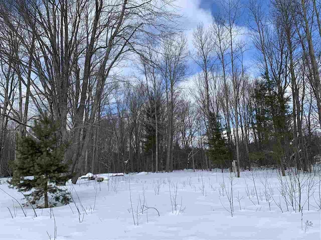 6243 Lambert Dr, Alanson MI, 49706 land for sale