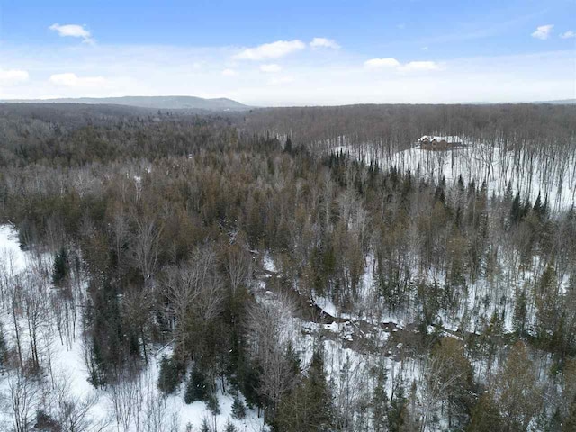 snowy aerial view featuring a mountain view