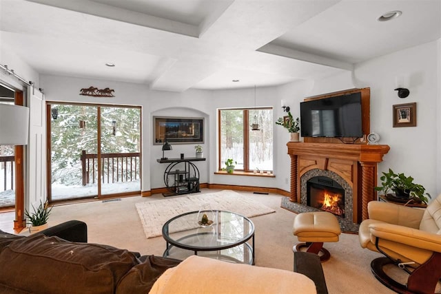 living room with carpet floors and a wealth of natural light