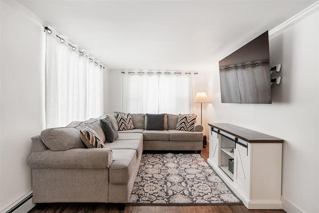 living room featuring wood-type flooring and a baseboard heating unit