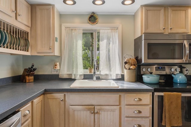 kitchen featuring appliances with stainless steel finishes, sink, and light brown cabinetry