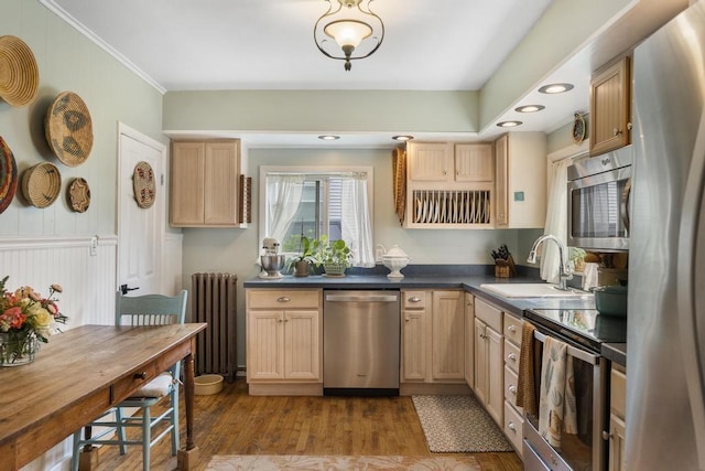 kitchen featuring stainless steel appliances, radiator, sink, and light brown cabinets