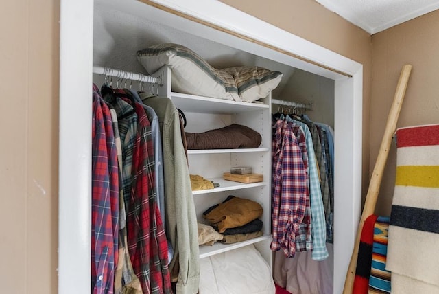 view of closet