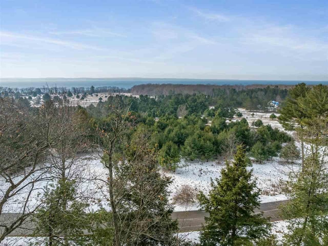 5790 Lodgepole, Harbor Springs, MI 49740