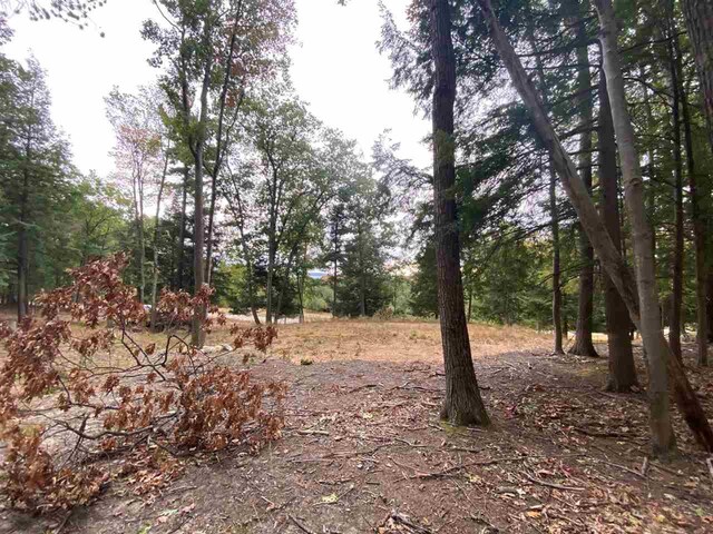 5790 Lodgepole, Harbor Springs, MI 49740
