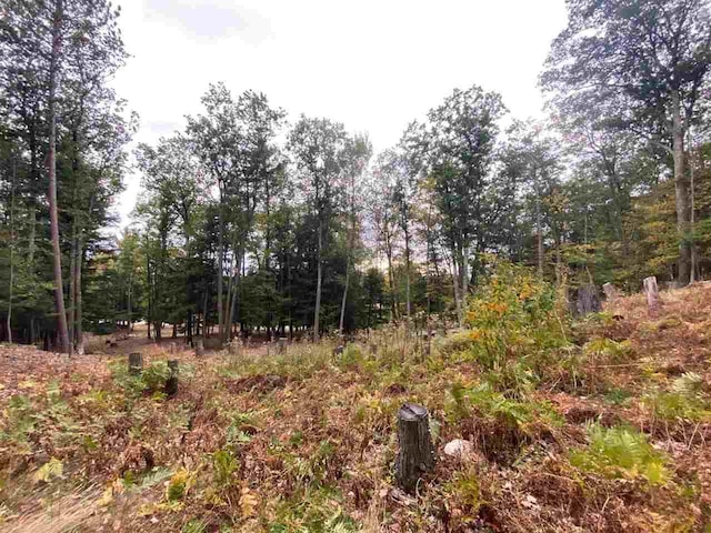 5790 Lodgepole, Harbor Springs, MI 49740