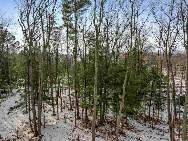 5790 Lodgepole, Harbor Springs, MI 49740