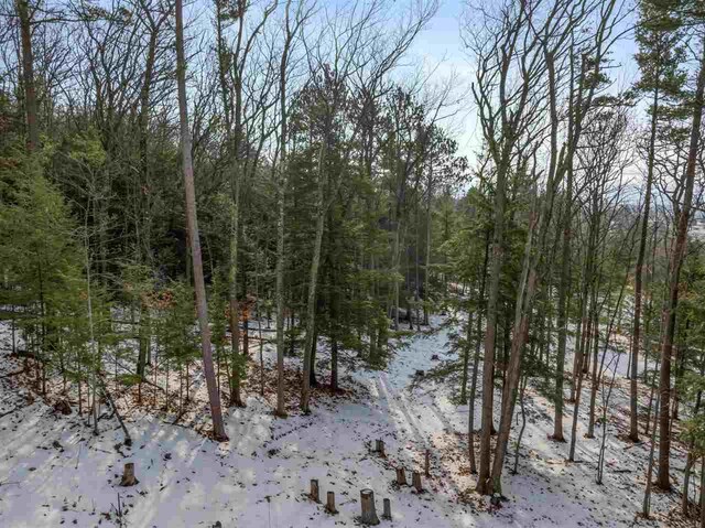 5790 Lodgepole, Harbor Springs, MI 49740
