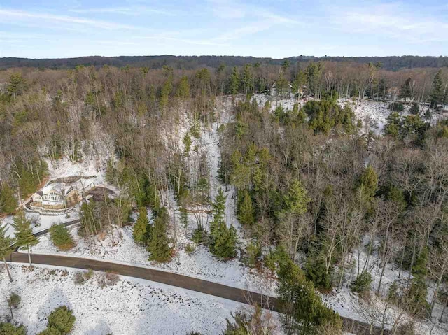 5790 Lodgepole, Harbor Springs, MI 49740