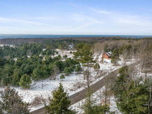 5790 Lodgepole, Harbor Springs, MI 49740