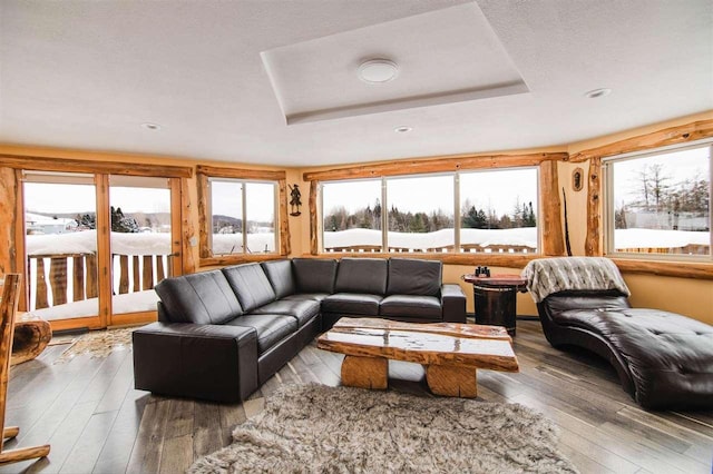 sunroom / solarium with a raised ceiling