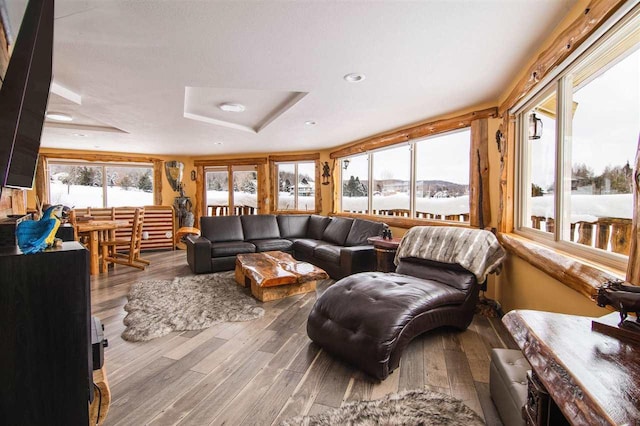 living room featuring hardwood / wood-style floors