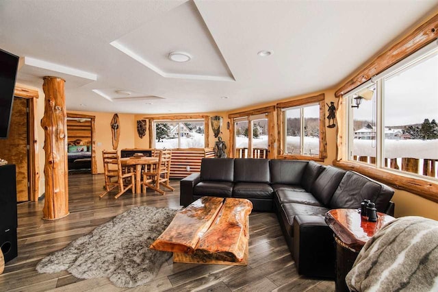 living room with dark wood-type flooring and a tray ceiling