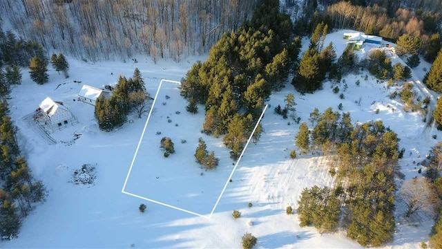 3155 Needles Dr, Harbor Springs, MI 49740
