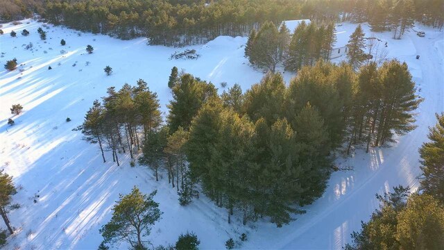 3155 Needles Dr, Harbor Springs, MI 49740