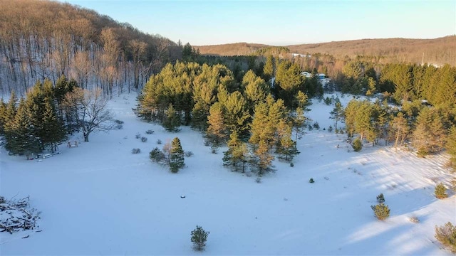 3155 Needles Dr, Harbor Springs, MI 49740