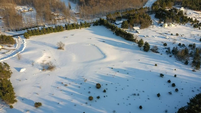 3155 Needles Dr, Harbor Springs, MI 49740