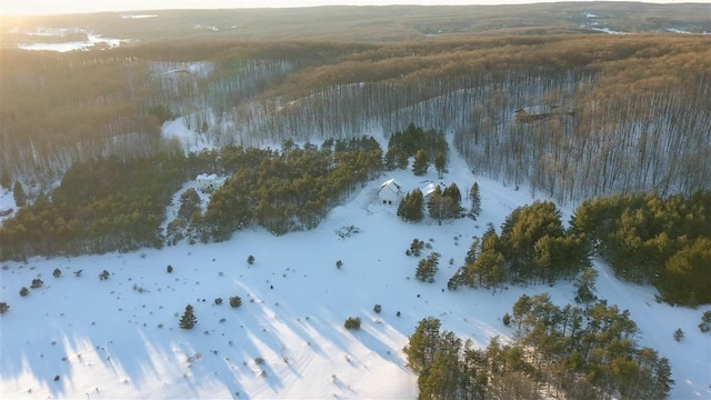 3155 Needles Dr, Harbor Springs, MI 49740