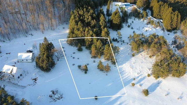 3155 Needles Dr, Harbor Springs, MI 49740