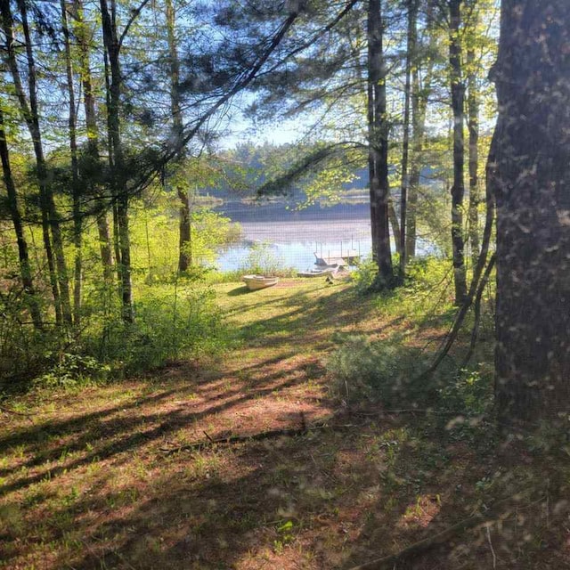 view of landscape with a water view