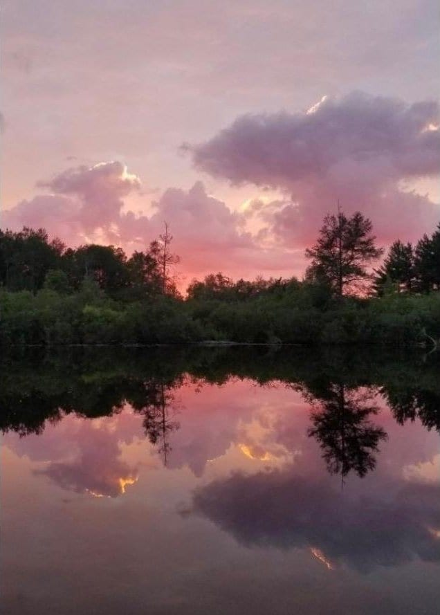 nature at dusk with a water view