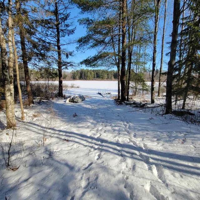 view of snowy yard