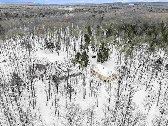 5550 N Lake Shore Dr, Harbor Springs, MI 49740 - view of snowy aerial view