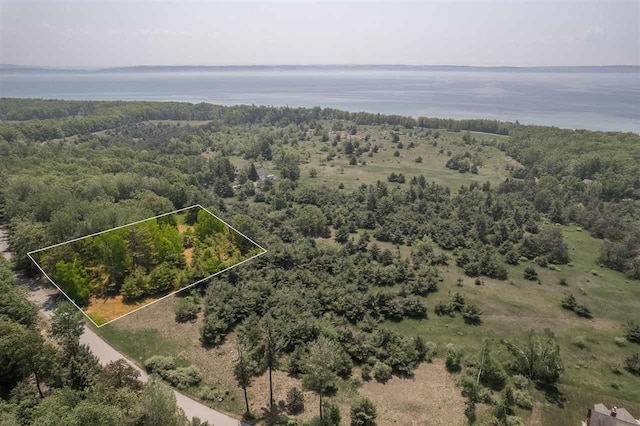 5765 Lodgepole Rd, Harbor Springs, MI 49740