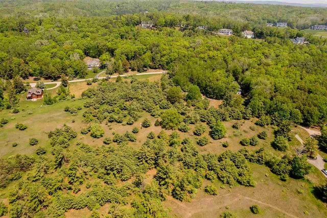 5765 Lodgepole Rd, Harbor Springs, MI 49740