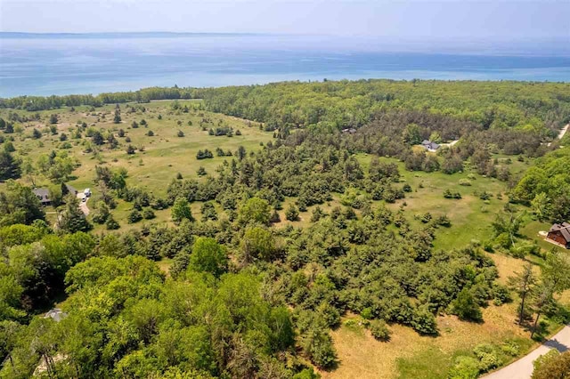 5765 Lodgepole Rd, Harbor Springs, MI 49740