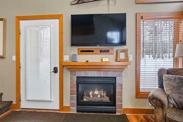 living room featuring a tile fireplace and wood-type flooring