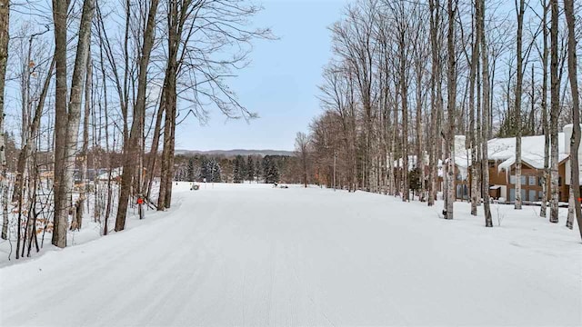 view of snowy yard