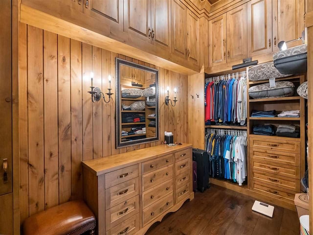 spacious closet featuring dark wood-type flooring