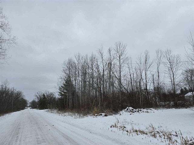 TBD N E St, Cheboygan, MI 49721