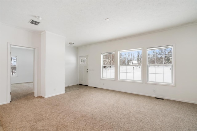 carpeted spare room with plenty of natural light, ornamental molding, and a textured ceiling