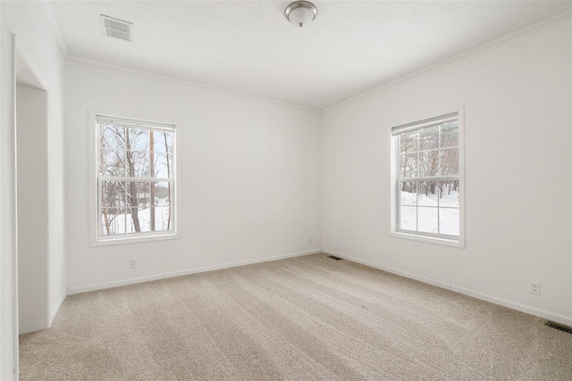 carpeted spare room featuring ornamental molding and a wealth of natural light