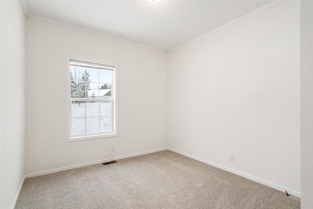 empty room featuring crown molding and carpet floors