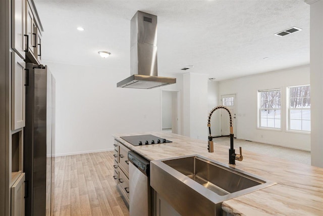 kitchen featuring appliances with stainless steel finishes, island range hood, sink, a textured ceiling, and light hardwood / wood-style flooring