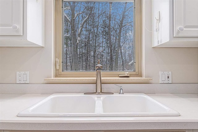 details featuring sink and white cabinetry