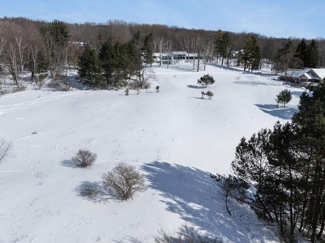 1074 Timber Pass, Harbor Springs, MI 49740