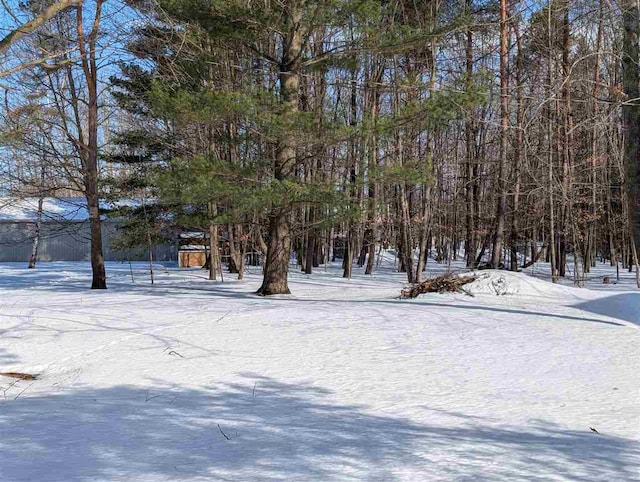 view of snowy yard