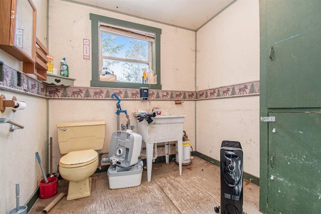 bathroom featuring toilet