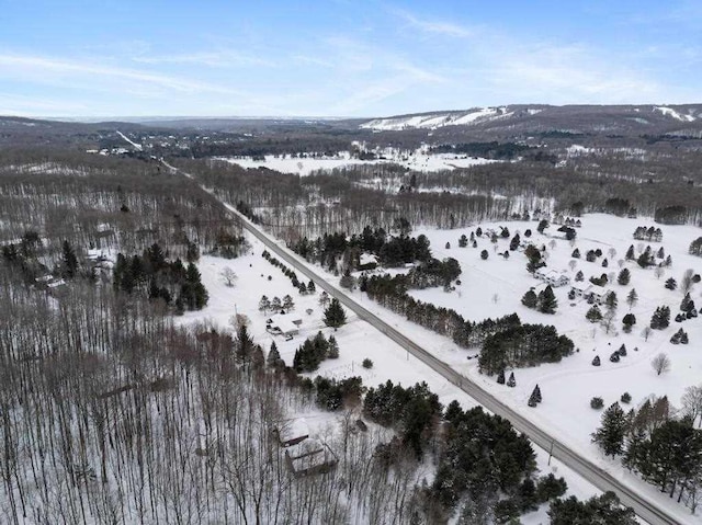 snowy aerial view with a mountain view